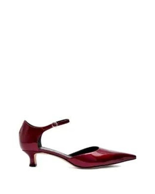 Aeyde Brown Tillie Pointed Toe Strap Pumps