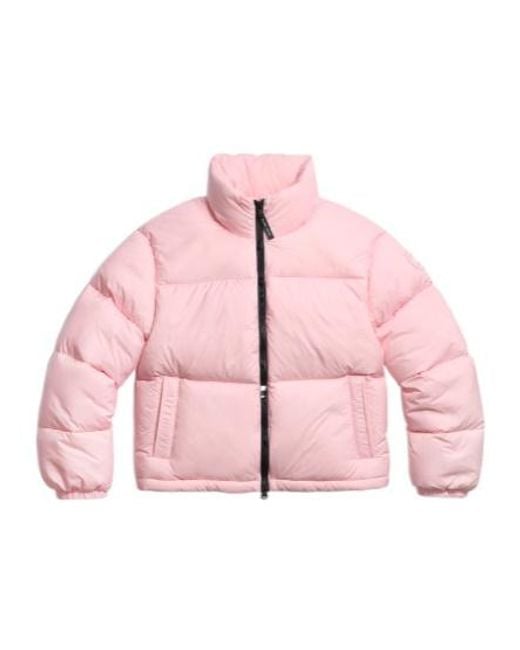 Canada Goose Pink Fallon Puffer Jacket Tonal Disc