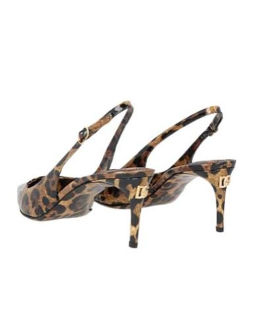 Dolce & Gabbana Brown Leopardprint Pointedtoe Stilettoheel Highheels