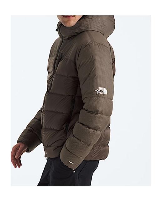 The North Face Brown Tnf Hke Kalix Down Hooded Jacket for men