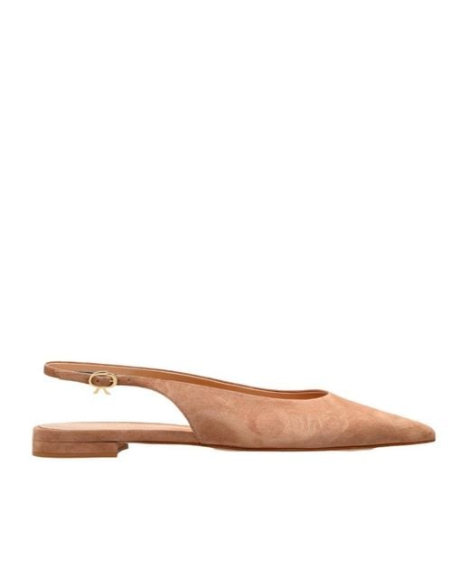 Gianvito Rossi Brown Robbie Pointed-Toe Ballerinas