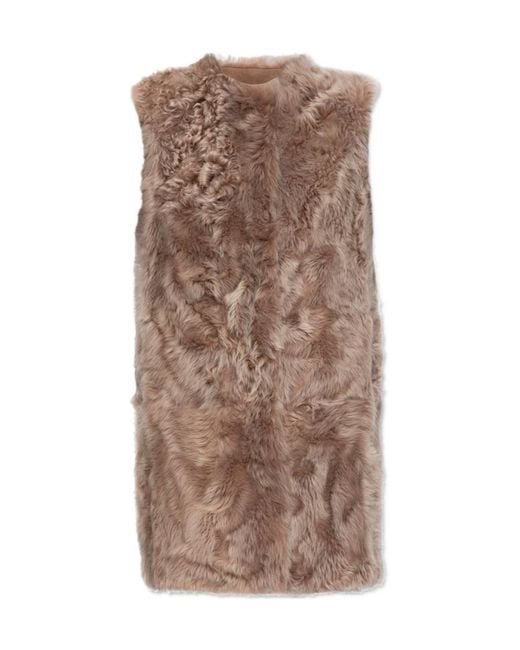 Dolce & Gabbana Brown Sleeveless Coat