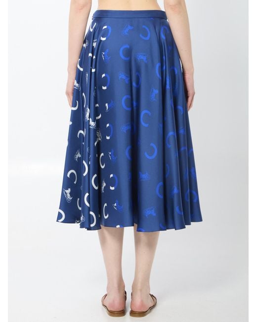 Céline Blue Skirt
