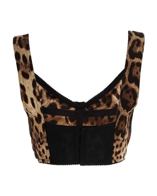Dolce & Gabbana Brown Leopard Printed Cropped Bustier Top