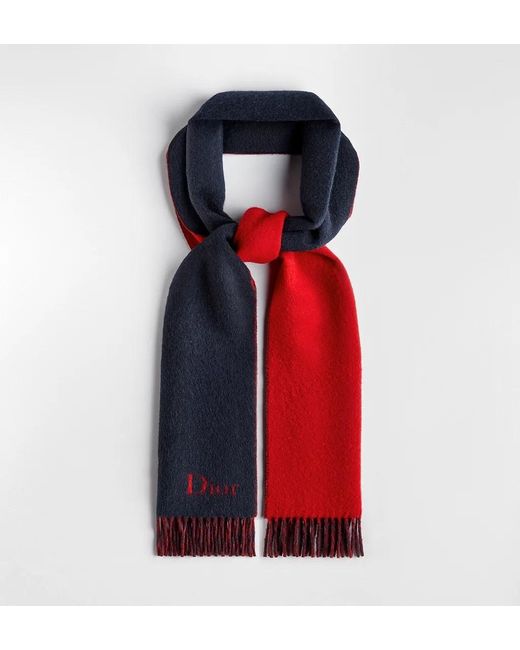 Dior Blue Double-Sided Scarf for men