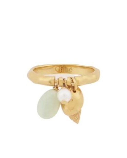 Chloé Metallic Shells Ring