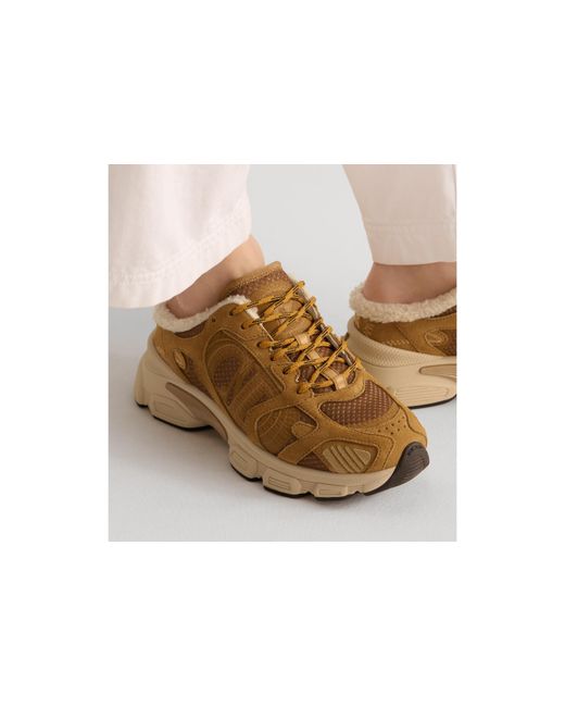Dior Brown Alps Chrono Sneaker