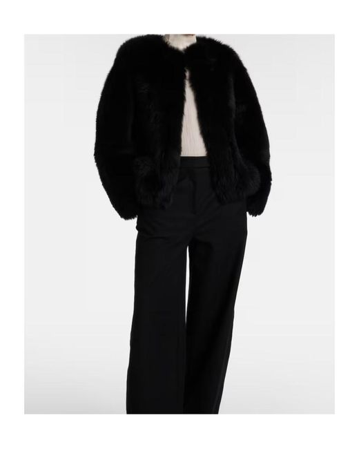 Joseph Black Gomez Fur