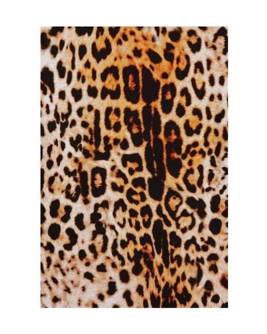 Halpern Natural Open-Back Leopard-Print Stretch-Jersey Maxi Dress