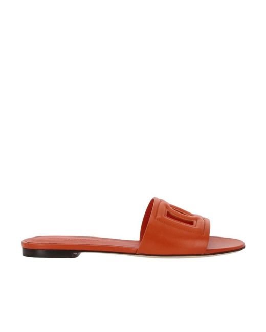 Dolce & Gabbana Brown Dg Cut Out Slides