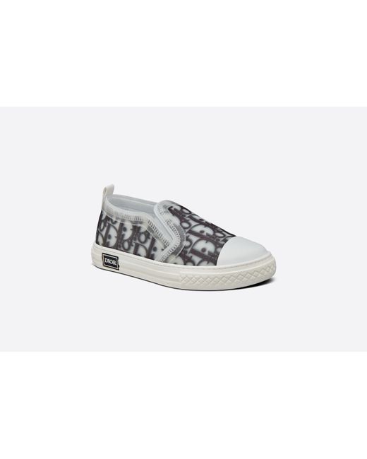 Dior Gray Logo Canvas Shoes