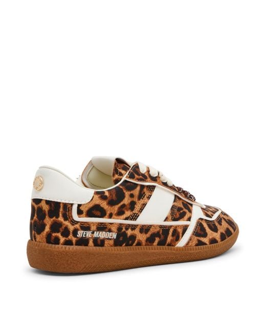 Steve Madden Brown Simple Low-Top Casual Shoes