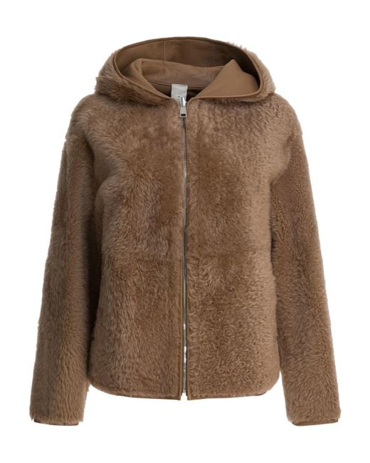 FURLING BY GIANI Brown Hooded Zip Jacket