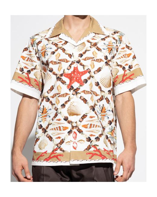 Dolce & Gabbana White Shell Printed Hawaii Poplin Shirt for men