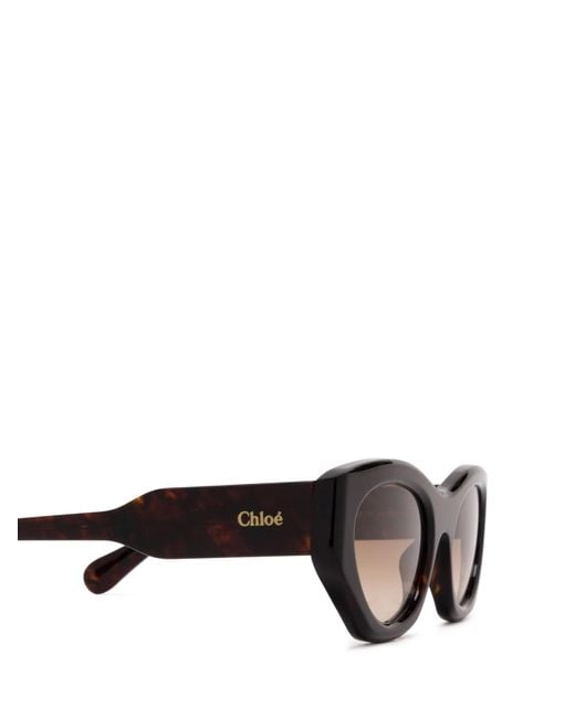 Chloé Multicolor Chloé Eyewear Cat-Eye Sunglasses