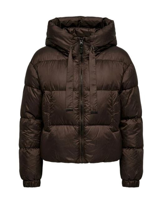 Max Mara Brown Long-Sleeved Down Jacket
