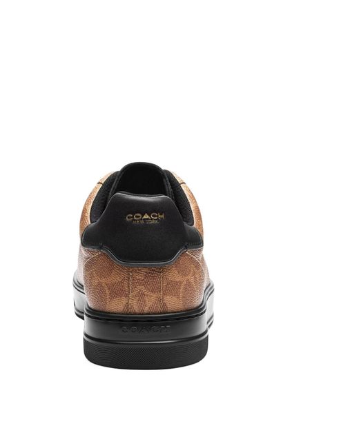 COACH Brown High Line Sneakers for men