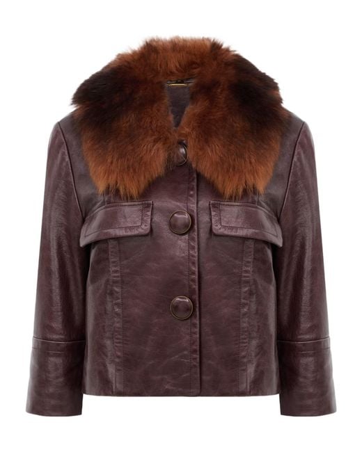 Chloé Brown Cropped Jacket