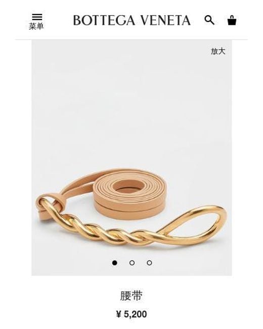 Bottega Veneta Metallic Double Strap Belt