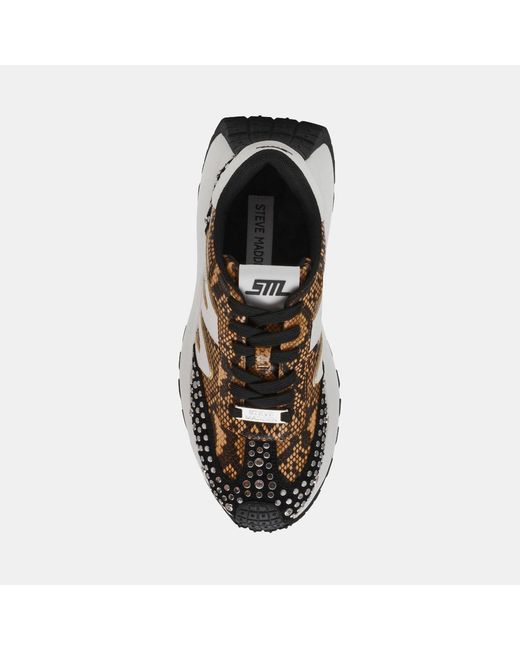 Steve Madden Multicolor Low-Top Casual Shoes