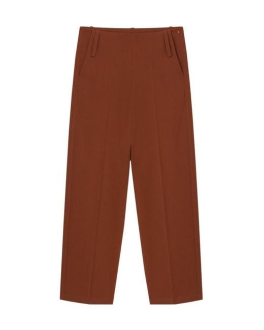 Aeron Brown Belt-Loop Dress Pants