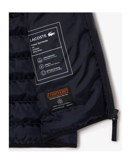 Lacoste Blue Stand-Neck Vest for men