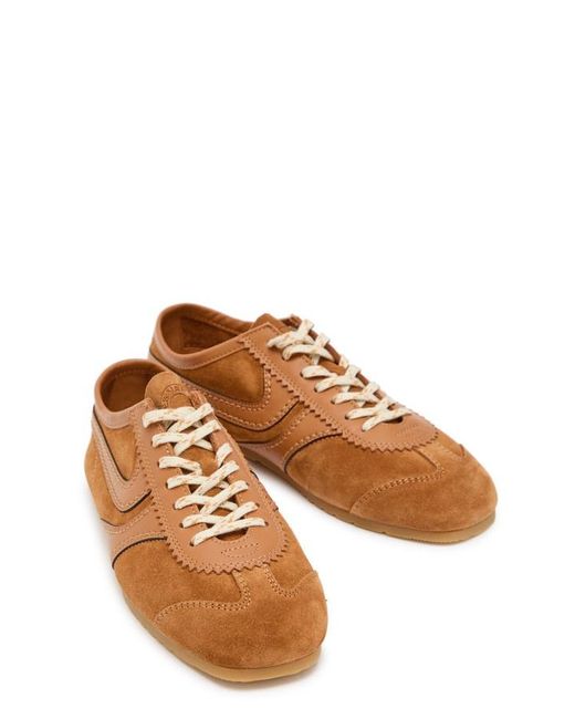 Dries Van Noten Brown Dustin Panelled Suede Sneakers
