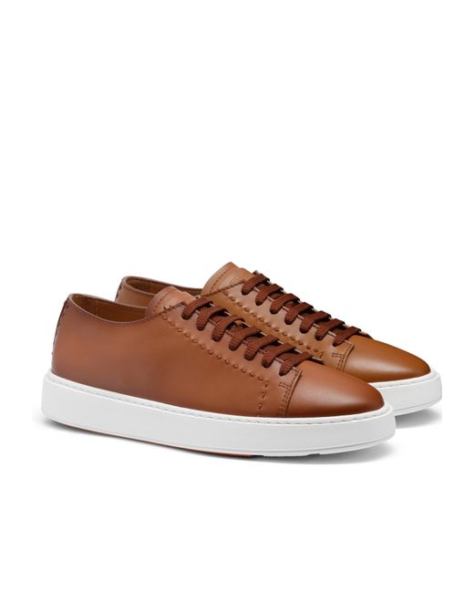 Santoni Brown Sneakers for men