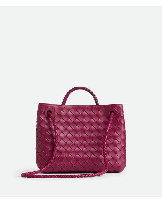 Bottega Veneta Pink Andiamo Small Tote Bag