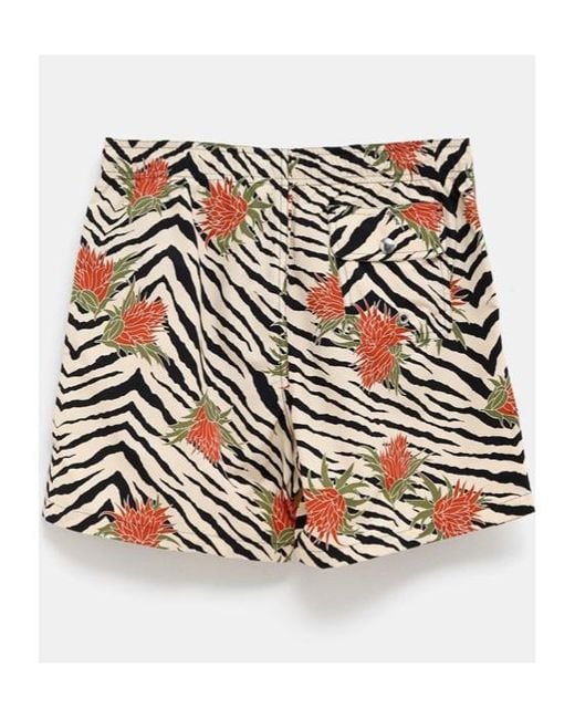Céline Multicolor Swim Shorts for men