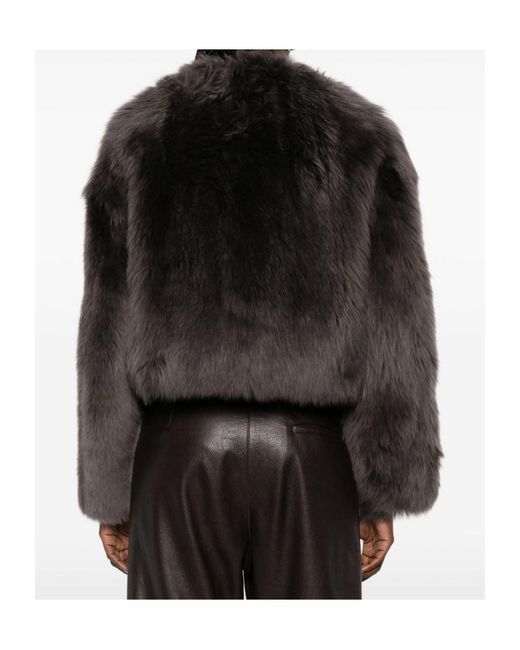 Tagliatore Black Long-Sleeve Shearling Jacket