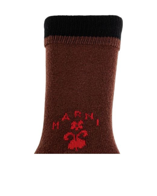 Marni Brown Herald Logo Socks