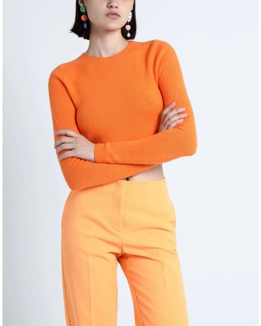 MAX&Co. Orange Lightweight Knit Crew Neck Long Sleeve Top