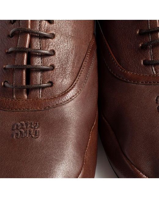 Miu Miu Brown Round-Toe Lace-Up Shoes