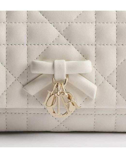 Dior Multicolor My Tender Top Handle Mini Bag