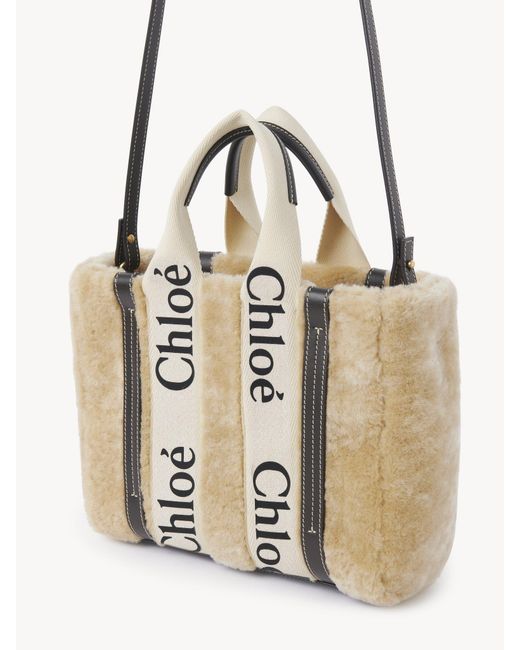 Chloé Metallic Chloé Small Woody Tote Bag