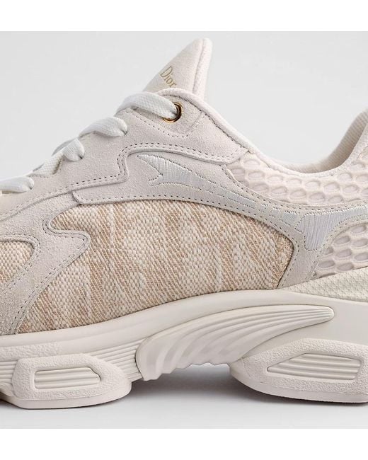 Dior Gray Vibe Sneaker