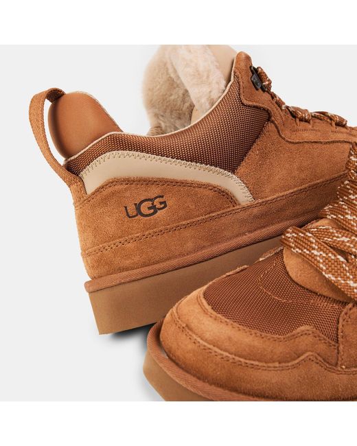 Ugg Brown Low-Top Sneakers for men