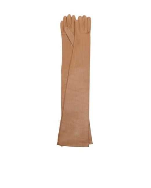 Nour Hammour White Elbow Gloves