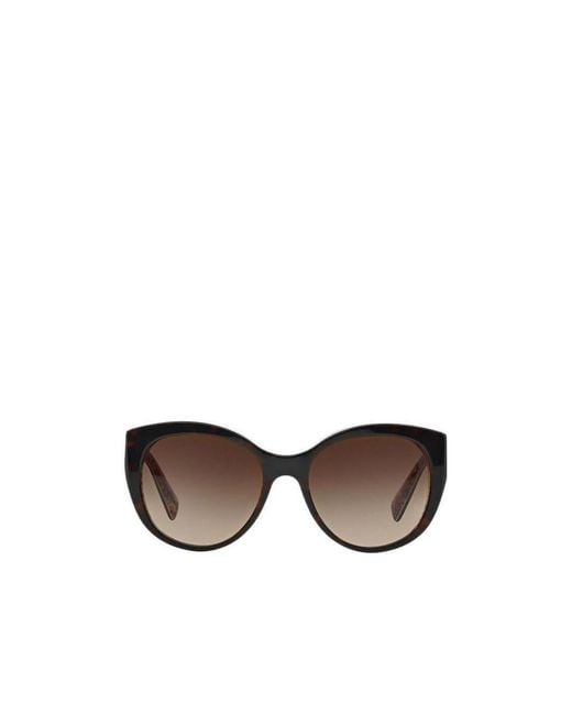 Dolce & Gabbana Multicolor Logo Sunglasses