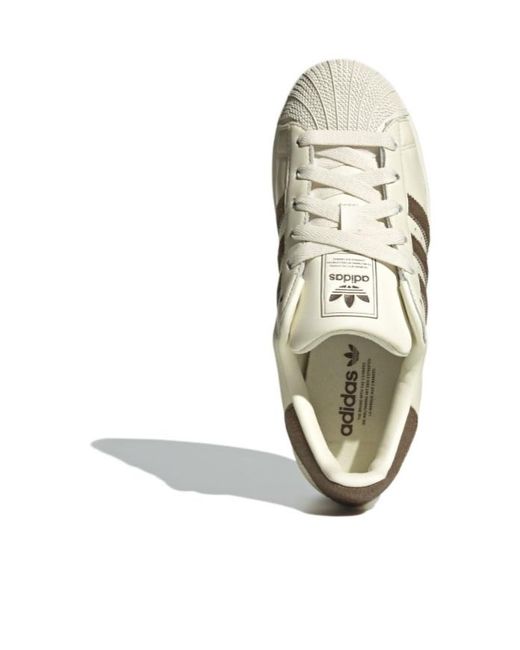 Adidas Originals Natural Superstar Ii Striped Sneakers