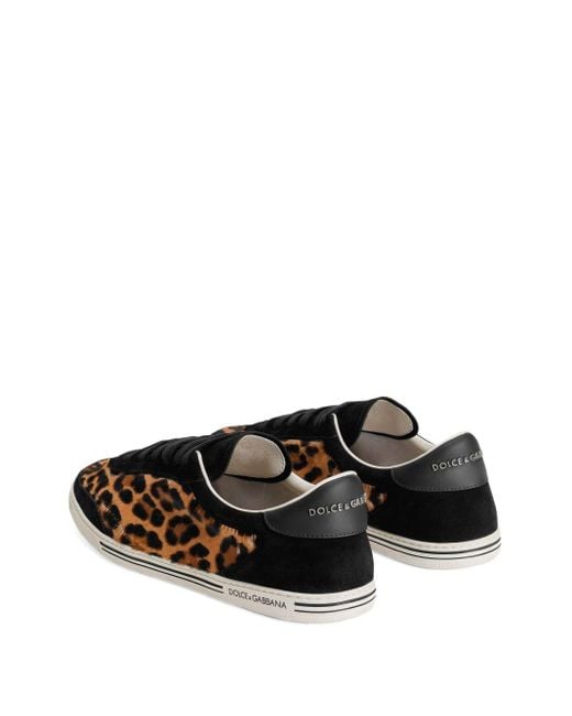 Dolce & Gabbana Black Saint Tropez Leo-Print Light Sneakers for men