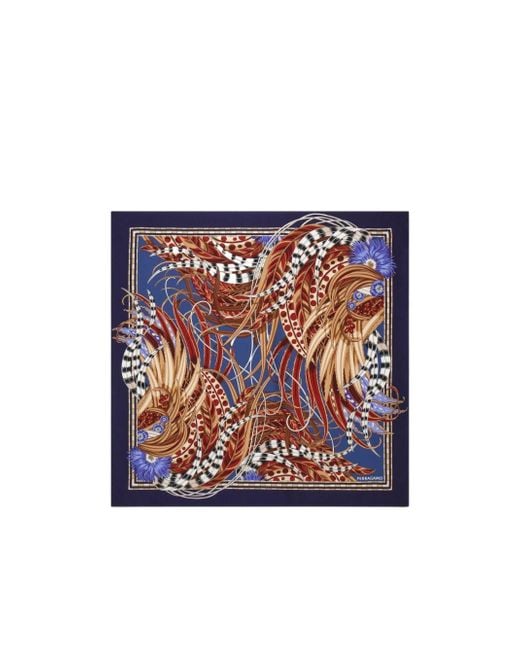 Ferragamo Blue Ferragamo Rooster Print Scarf