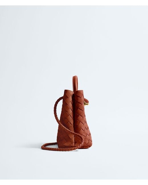 Bottega Veneta Red Small Andiamo Shoulder Bag