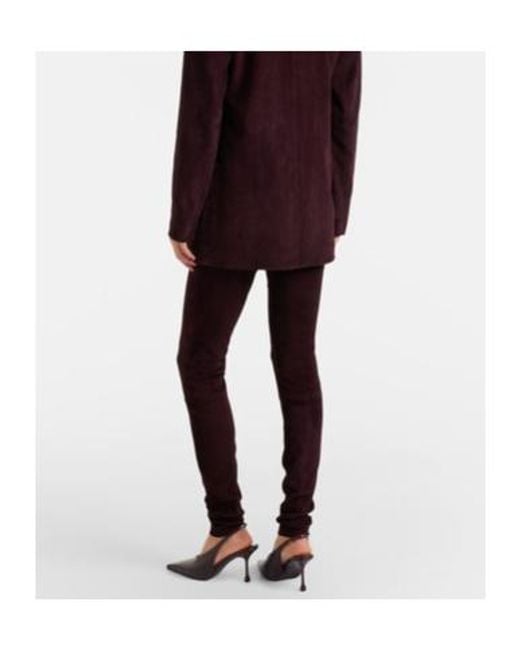 Stouls Purple Suede Leggings