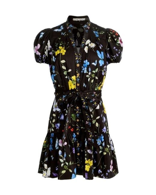Alice + Olivia Black X Stacey Bendet Cora Floral-Print Mini Dress