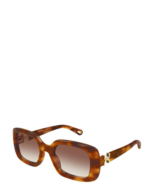 Chloé Brown Chloé Eyewear Square Frame Sunglasses