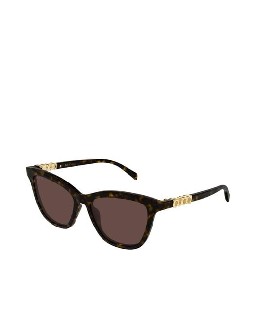 Gucci Multicolor Eyewear Cat-Eye Frame Sunglasses