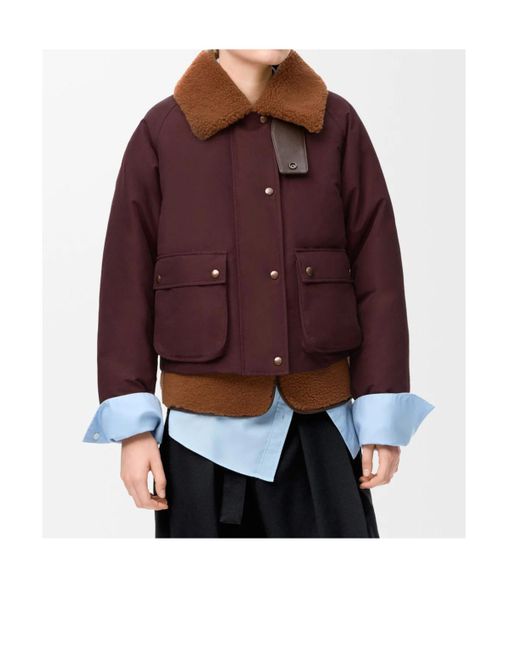 Loewe Purple Long-Sleeved Jacket