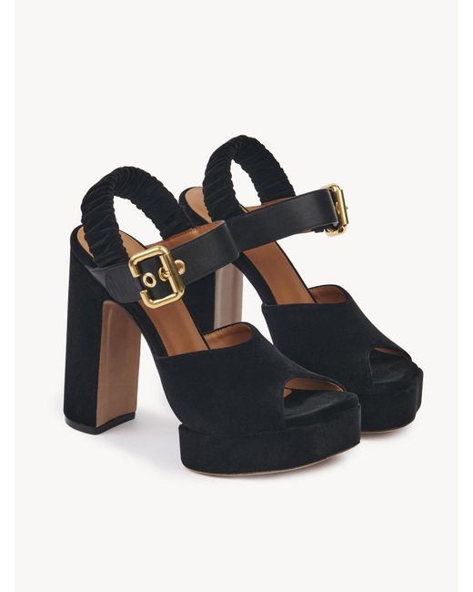 Chloé Black Chloé Aria Buckle Detailed Platform Sandals